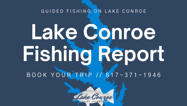 Lake Conroe Fishing Adventures reports in